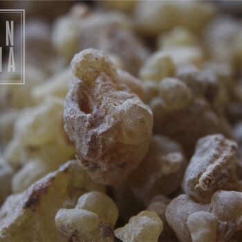 Frankincense Resin - Image 2