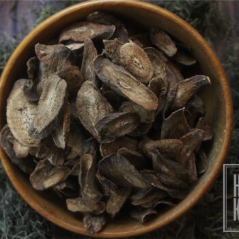 Burdock Root
