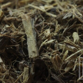 Licorice Root - Image 2