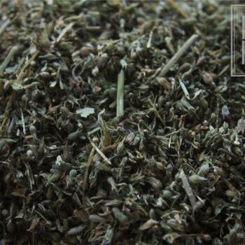 Catnip - Image 2