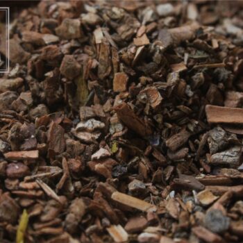 Cramp Bark - Image 2