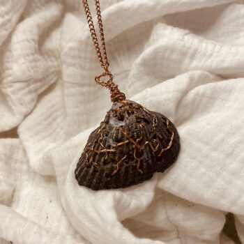 Copper Wrapped Holey Ark Shell - Image 2