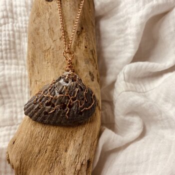 Copper Wrapped Holey Ark Shell